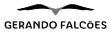 Gerando Falcões
